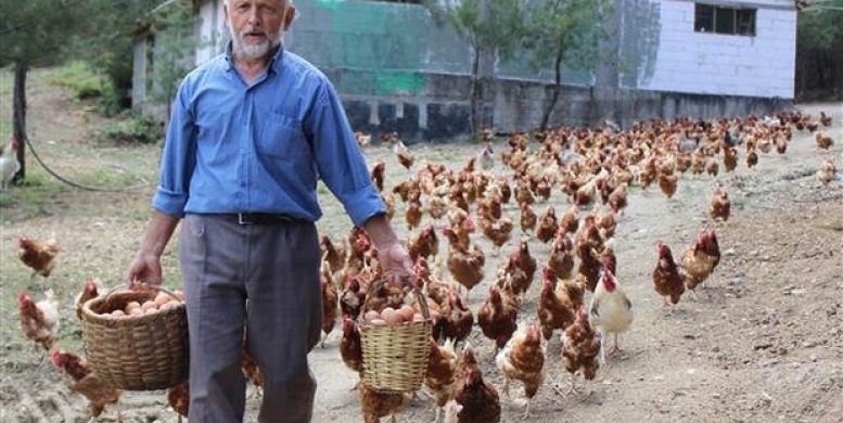 Emekli oldu, bu işe girdi