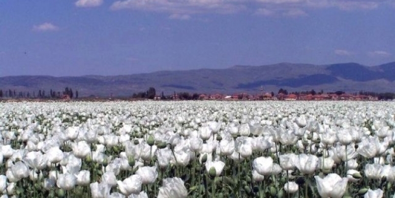 Ege İhracatı 1 Milyar Dolara Dayandı