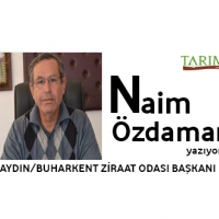 ÜLKEMİZDE ORGANİK PAMUK ÜRETİMİ